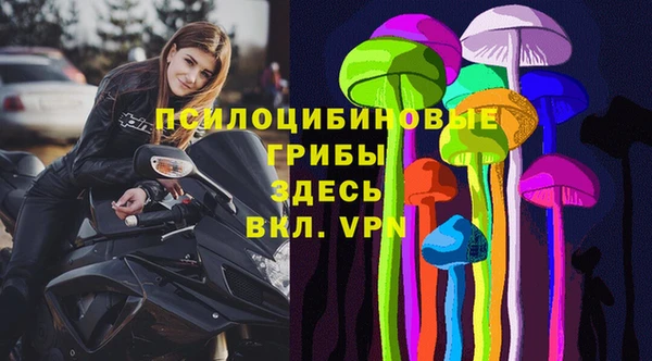 спиды Белокуриха