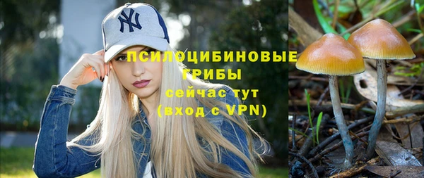 молекула духа Белоозёрский