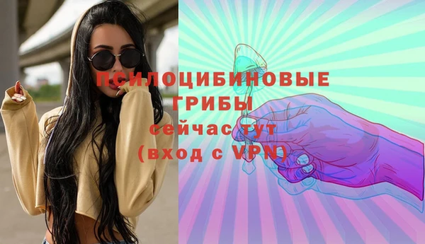 молекула духа Белоозёрский