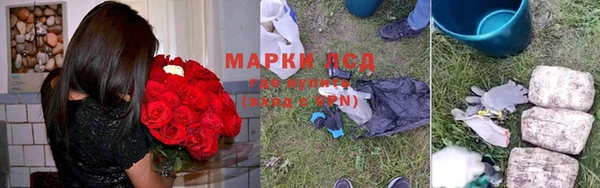 ГАЛЛЮЦИНОГЕННЫЕ ГРИБЫ Беломорск