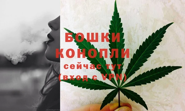 спиды Белокуриха