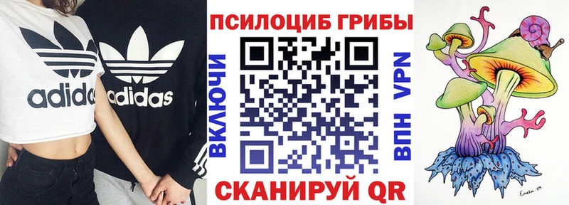 Галлюциногенные грибы прущие грибы  купить  цена  Киренск 